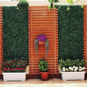 110162807_1511597052356680_3514433418624341711_n