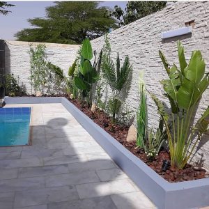 131753325_1018764898622794_3691367602726034069_n