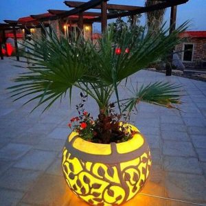 252550786_431809748551444_5085992211221579135_n