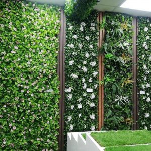 254012888_567311634573220_6214807610890502638_n 254012888_567311634573220_6214807610890502638_n