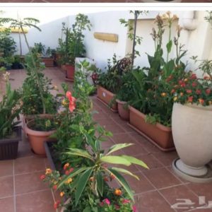 256688205_924387034861507_3312729600225887944_n