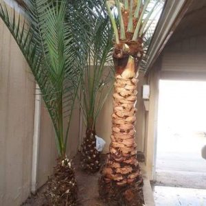 260525463_429878362094241_7683421833202439634_n