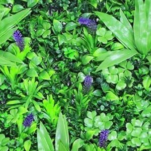 98177187_545220749524032_3669793220617138674_n 98177187_545220749524032_3669793220617138674_n