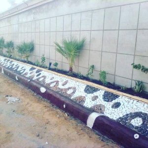 37705091_2211193325619334_6729862729449865216_n