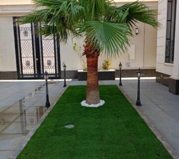 IMG 20251224 WA0084 360x320