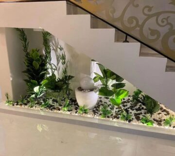 IMG 20251224 WA0100 360x320