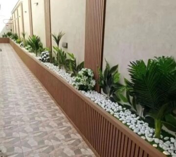 IMG 20251224 WA0101 360x320