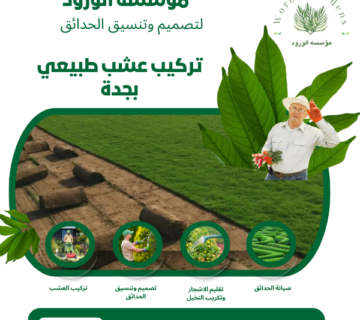 تركيب عشب طبيعي بجدة